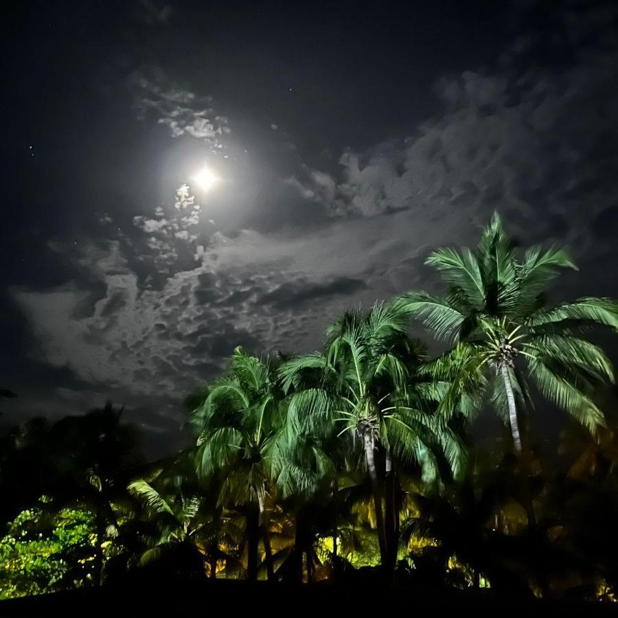 Hotel El Reinas By Sugar'S Monkey Playa Grande Exterior foto